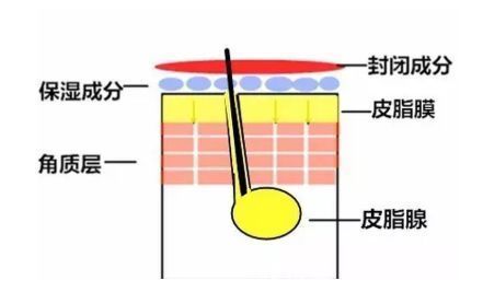 芳珂|孕妇补水保湿做的好，皮肤绝对没烦恼！选对护肤品拒绝伤脸又伤钱