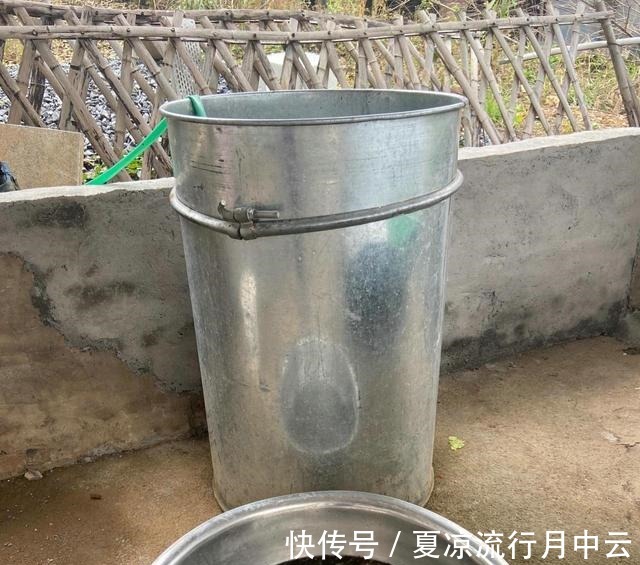 江西一水库麦穗鱼成灾,当地老乡一天能搞上千条,杀鱼杀到崩溃!