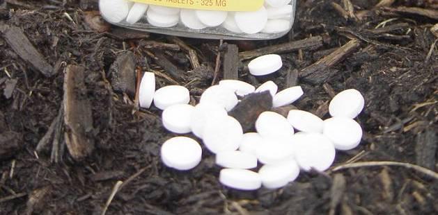 养花施肥多麻烦!浇花水兑“养花宝”,实用又有效!