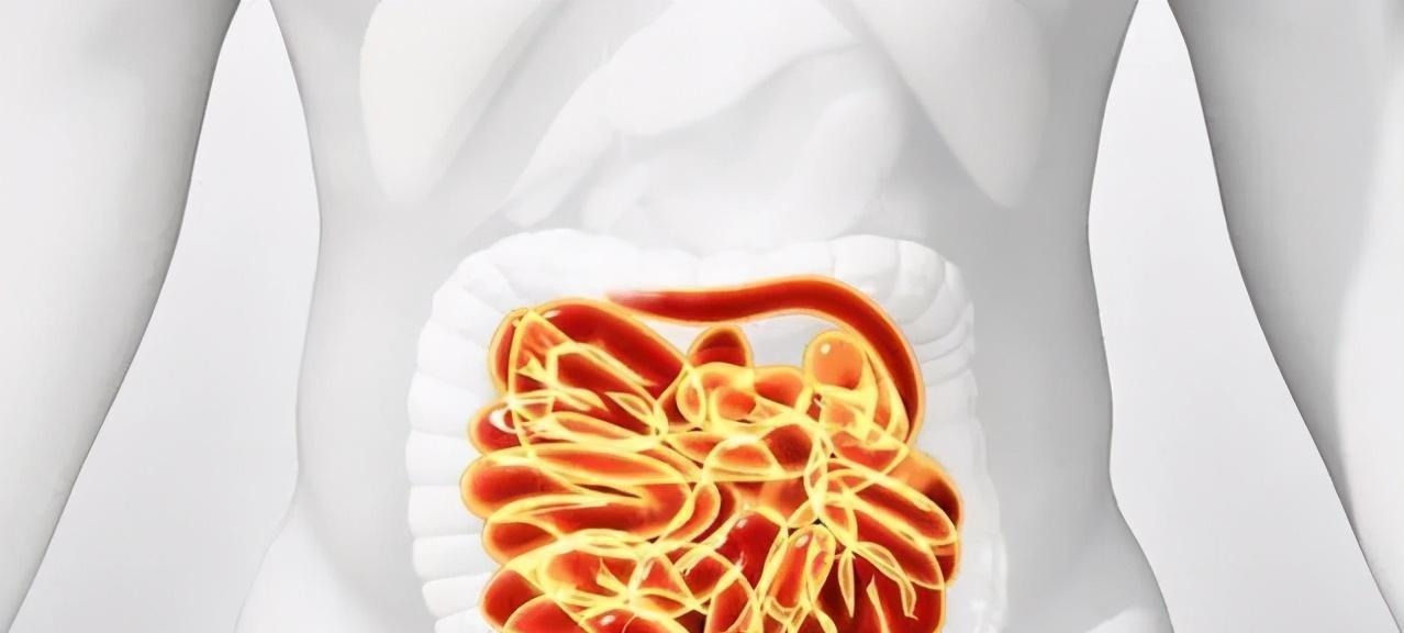 红肉|17岁男孩,一天跑8次厕所,医生查出原因,父母抱头痛哭不相信