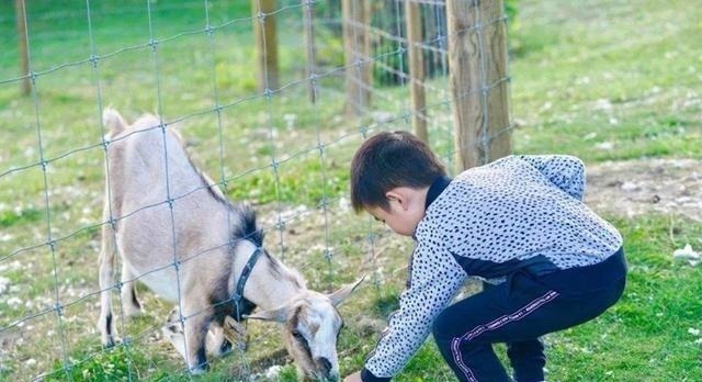 反思|“学霸”孩子大多都有4个特征,偶尔贪玩也不要紧,你家娃占几条