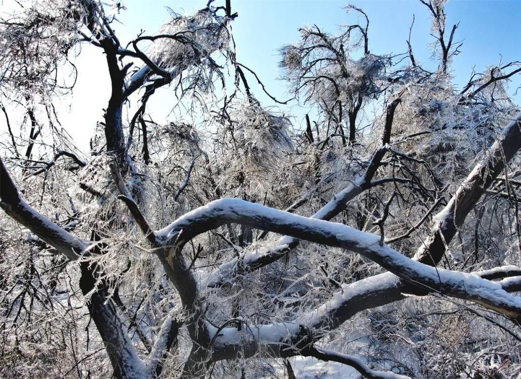 心间|净月潭的雪，美在山川，暖在心间！