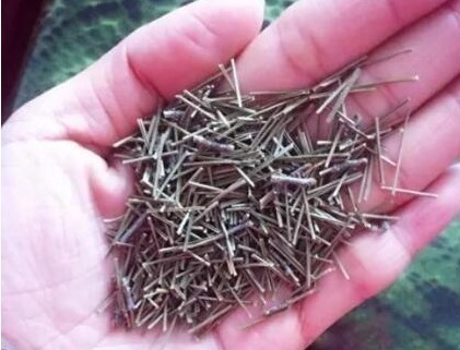 养蟹爪兰,就在盆里加“它”,轻轻松松开成花海,爆盆不是梦!