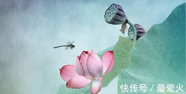 人心#人心平时,好事自然会发生