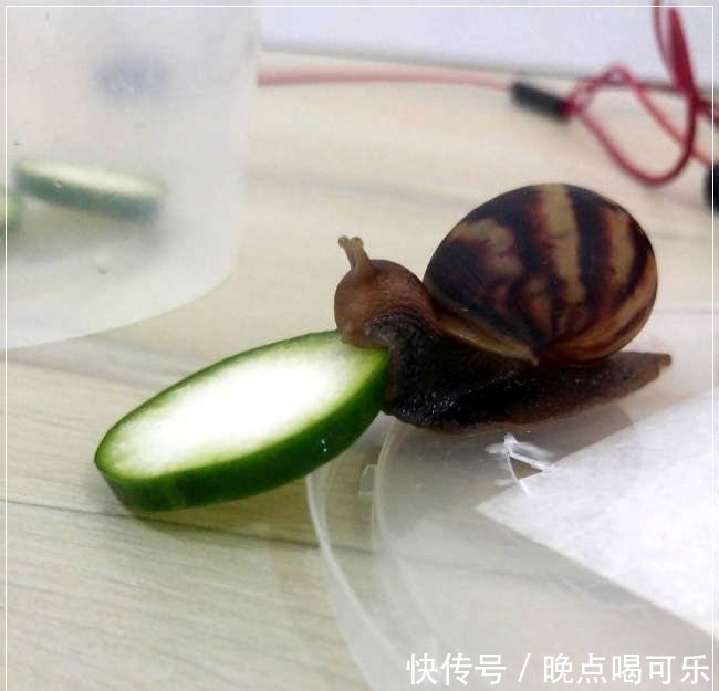 画面|18张令人惊叹的画面,可以让你重新认知这个世界,看后难忘!