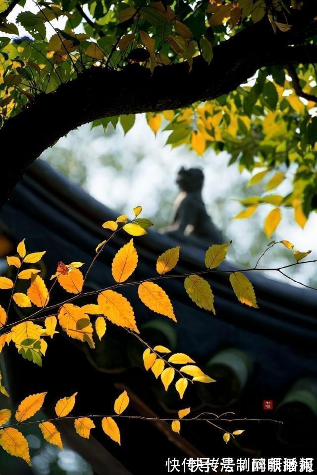 释文珦#诗僧笔下的秋天,不仅有最美的秋色,还有浓浓禅意,令人回味无穷