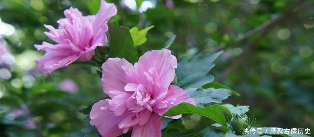 七律|王维最经典的七律,第二联是千古名句