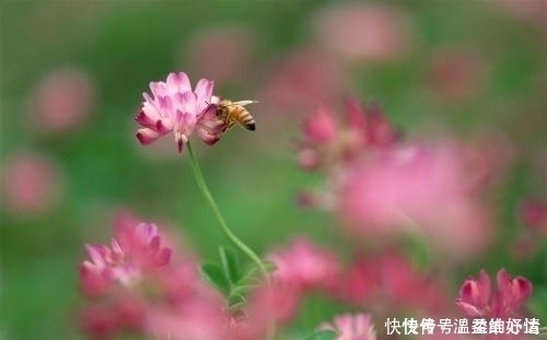 吉星|孩子出生在几点钟，命好最有出息，孝顺父母，个个天资聪颖