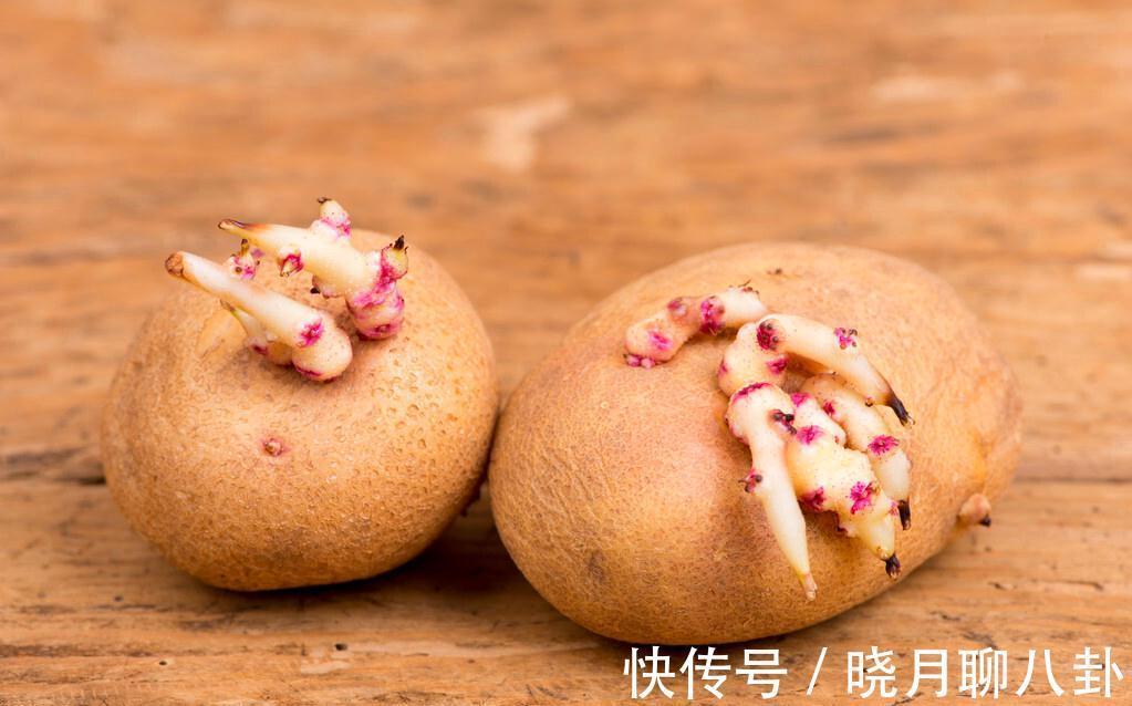 西红柿|明天立冬,记得给吃3红、3黄,少吃3样,顺应时节,家人都健康