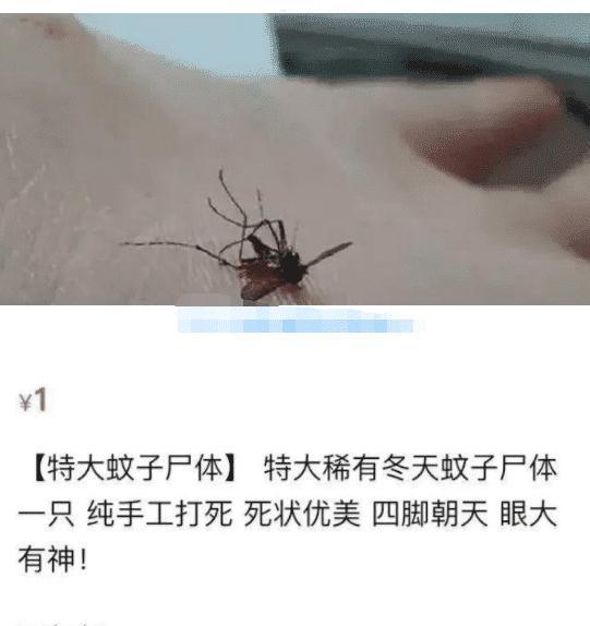 老干妈|你永远不知道你在闲鱼能看到什么，简直是打开新世界的大门