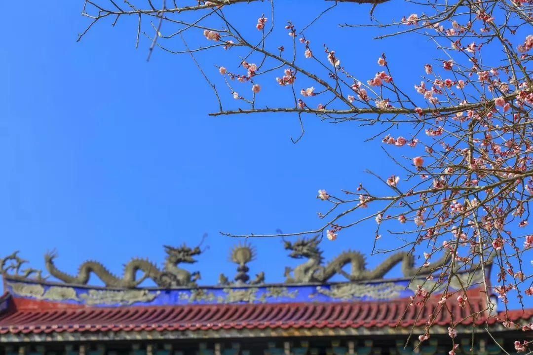 古寺问梅（五首）