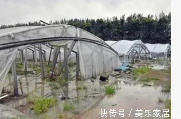 青菜价格“飙涨”，菠菜价格涨至15元，大葱再现“向钱葱”