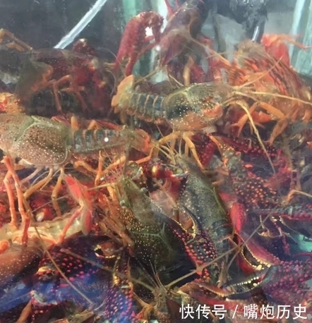 烹饪时间|跟土豪做朋友就是爽,这一桌龙虾吃了3888,总感觉还不过瘾
