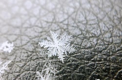 微距看北京雪花 晶莹剔透如艺术品