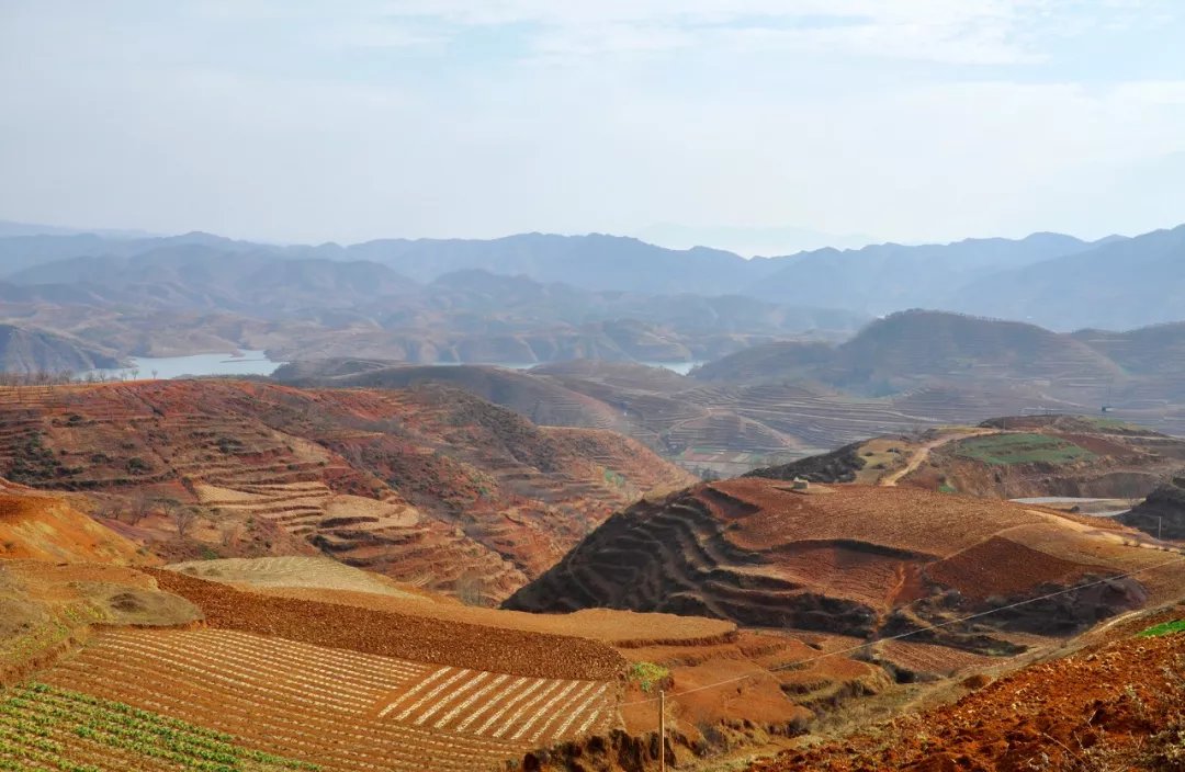 俯仰天地，山水之间皆气度|诗词 | 杜甫岱宗夫