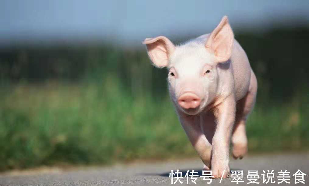 猪肺猪肺|这3个部位的猪肉,再馋都别吃,病毒太多,一定要记住!