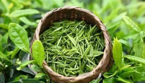 血管|“溶栓高手”被找到，每天喝一杯，清血栓、稀释血液、血管也变好