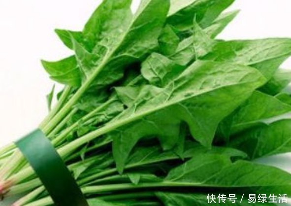 食物|米饭二次加热会致致癌这4种食物坚决不能二次加热,千万注意