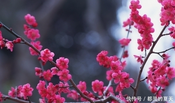 光宗耀祖|“贵子”降世的4大征兆，是男人八方聚财，是女人有旺夫旺命！