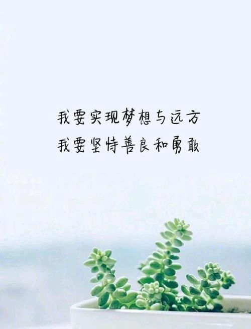 自我成长的精美句子,唯美通透,句句都是硬