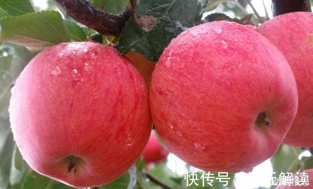 健康|早晨是养肝的黄金时间，早餐多吃五种食物，肝脏就会更快乐的