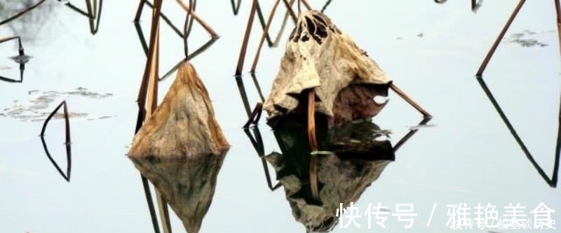 秋凉晚步#杨万里傍晚时分出门散步,信手拈来写下一首诗,充满了诗情画意!