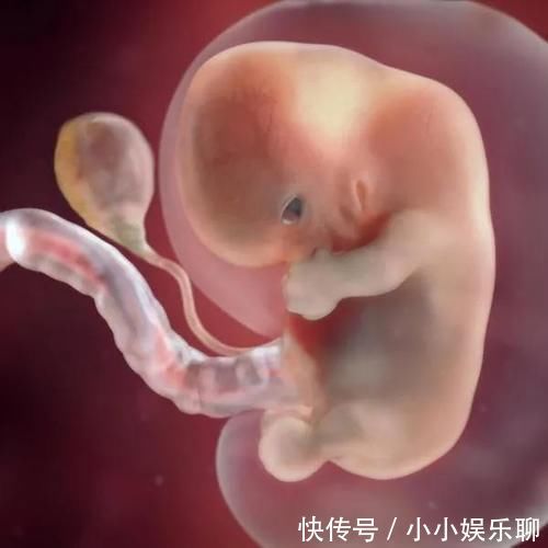 不良习惯|孕期这3个阶段，是胎儿大脑发育的关键期，孕妈做对了宝宝更聪明