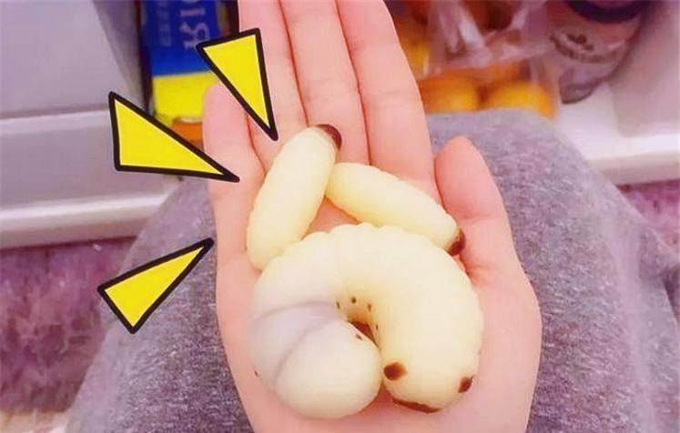 美食|零食界最奇葩的4种美食,第一种网红最爱,最后两种好恶心啊