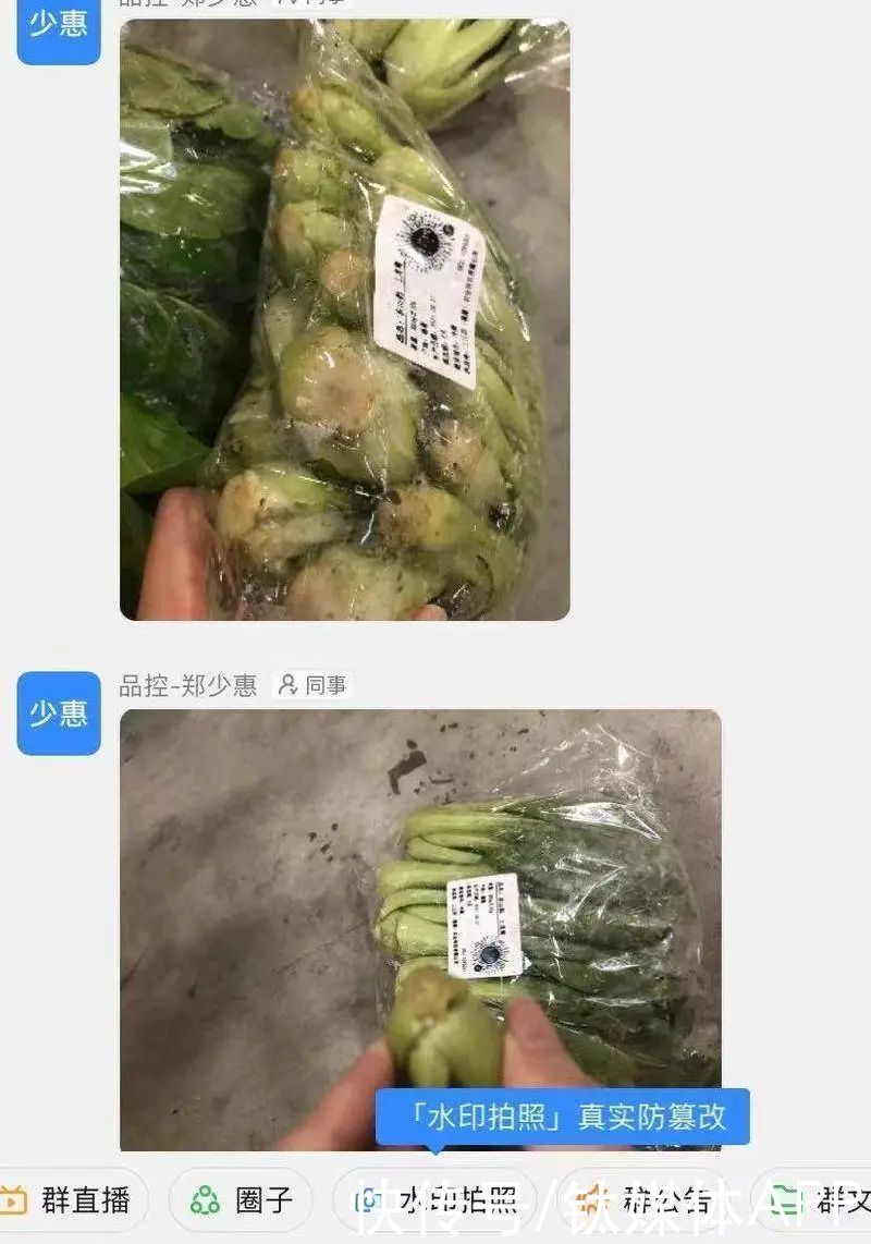 裁员|十荟团大裁员，阿里买菜去往何处？