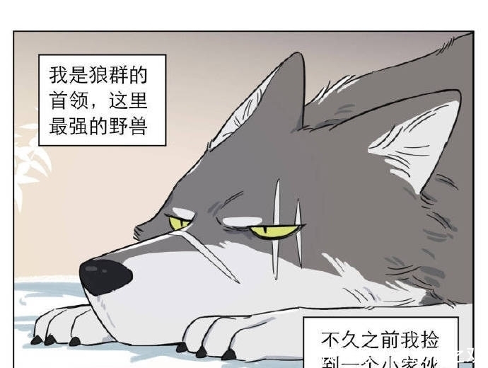 小玩意儿|漫画：小玩意儿长大了，赶不走了怎么办？