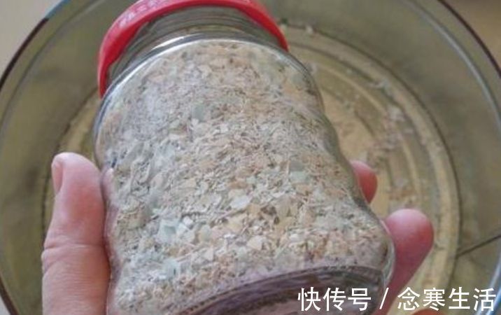 大花球|养君子兰“不要等”,盆里加“1物”,快速出箭开出“大花球”