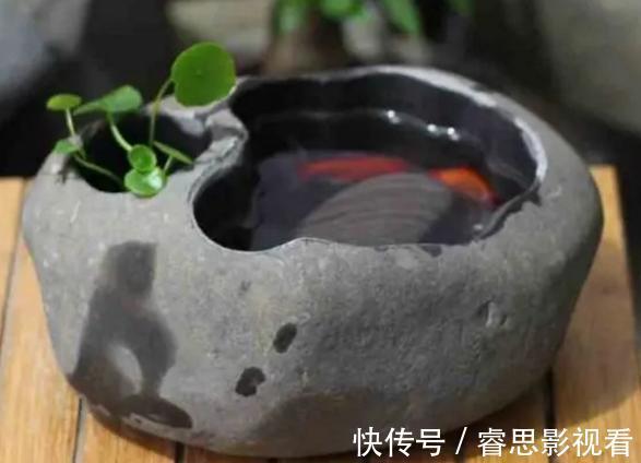 切割|原来石头、空酒瓶养花,不是“凑合”,而是“创意”啊!