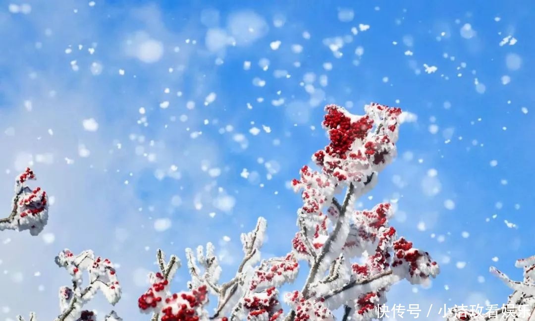 眷恋|雪后的泰山！美！