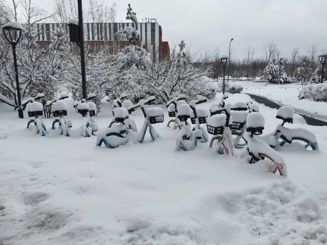 零成本|雪地靠喊找手机、阳台切＂豆腐＂、徒手敲车窗…东北这场罕见暴雪惊了网友