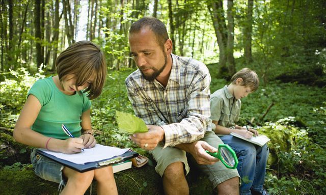 外面的世界|哈佛校长直言:多带娃去陌生的地方,孩子将来的眼界和格局不一般