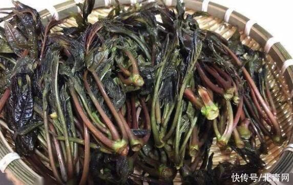 不焯水不能吃的四種菜，很多人不懂，吃了可能危害健康