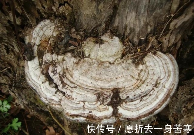 致癌|我们每天都在吃的东西，竟然是被国家列入第一致癌清单！