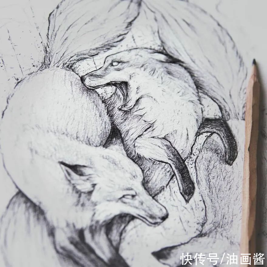 素描@艺术家公开自己的速写本,风格化的动物素描,?个个惹人爱