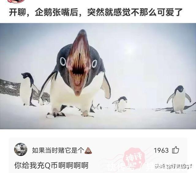 名字#神回复:哪些人的名字,光是念出来就自带杀气?