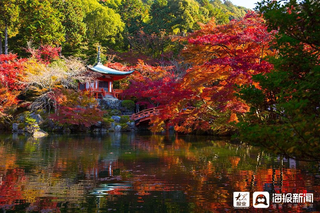 京都|京都醍醐寺内秋景美不胜收