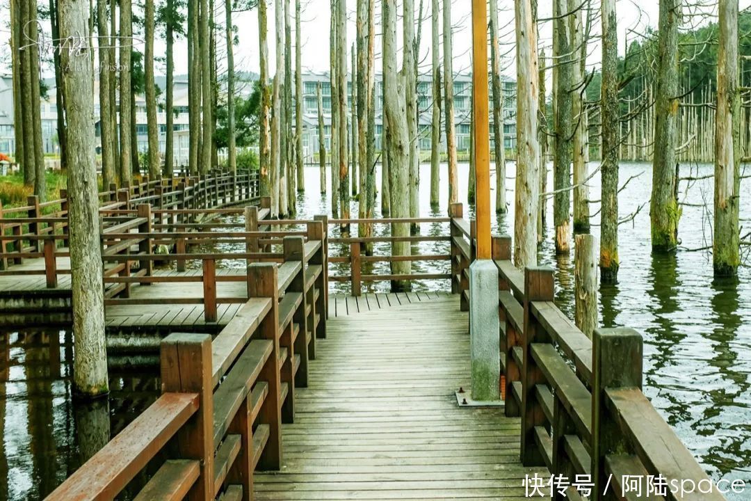 中年|在明月山发现武功山的“核心景区界碑”,可见两者的关系很不一般