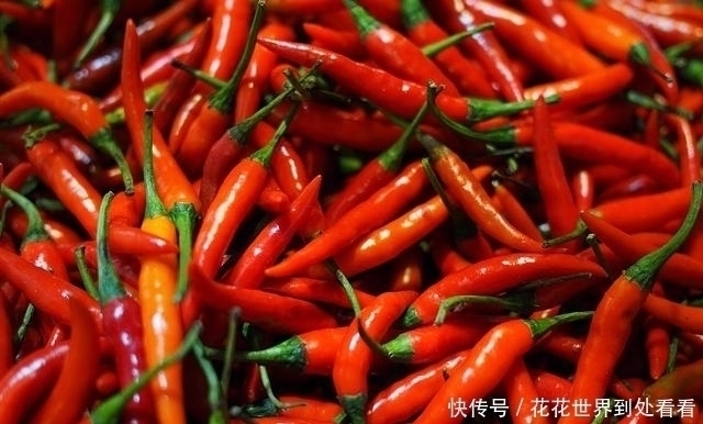 胃病|胃不好的人,养胃牢记“3吃、5不吃”,胃或会慢慢变好