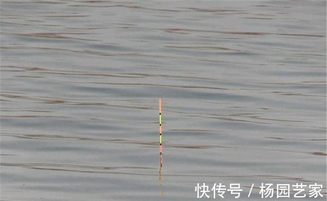 钓底|钓接口,有钓半水和钓离底之分,介绍下调漂方法和经典漂相