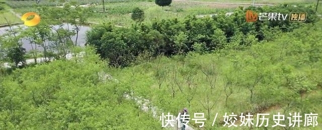 向往的生活|《向往的生活》第五季收官,猜测没有第六季了