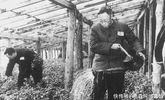 回话|溥仪下班准备坐公交，一帮人突然下跪高呼皇上，溥仪回话了