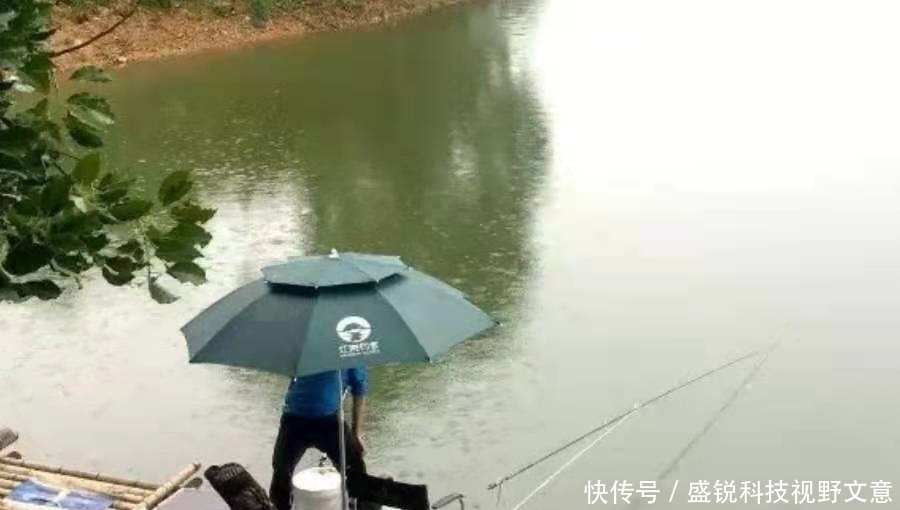 雨天|下雨时，一旦换用这鲫鱼钓法，中鱼率瞬间提高，十人有九人还不知
