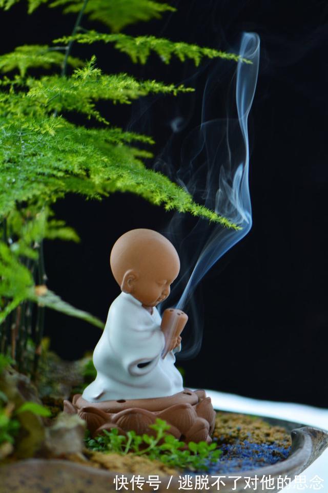 道德经&一个人有觉悟后,话就少了,进入清静的境界