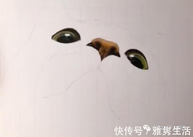 音海#超拟真动物画，每根毛发都这么细致，网友惊呼真假分不清