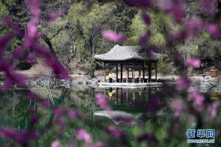 春花烂漫避暑山庄