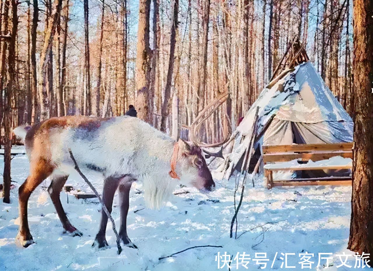 东北|一到冬天，这些东北独有的景色，就美到了天际